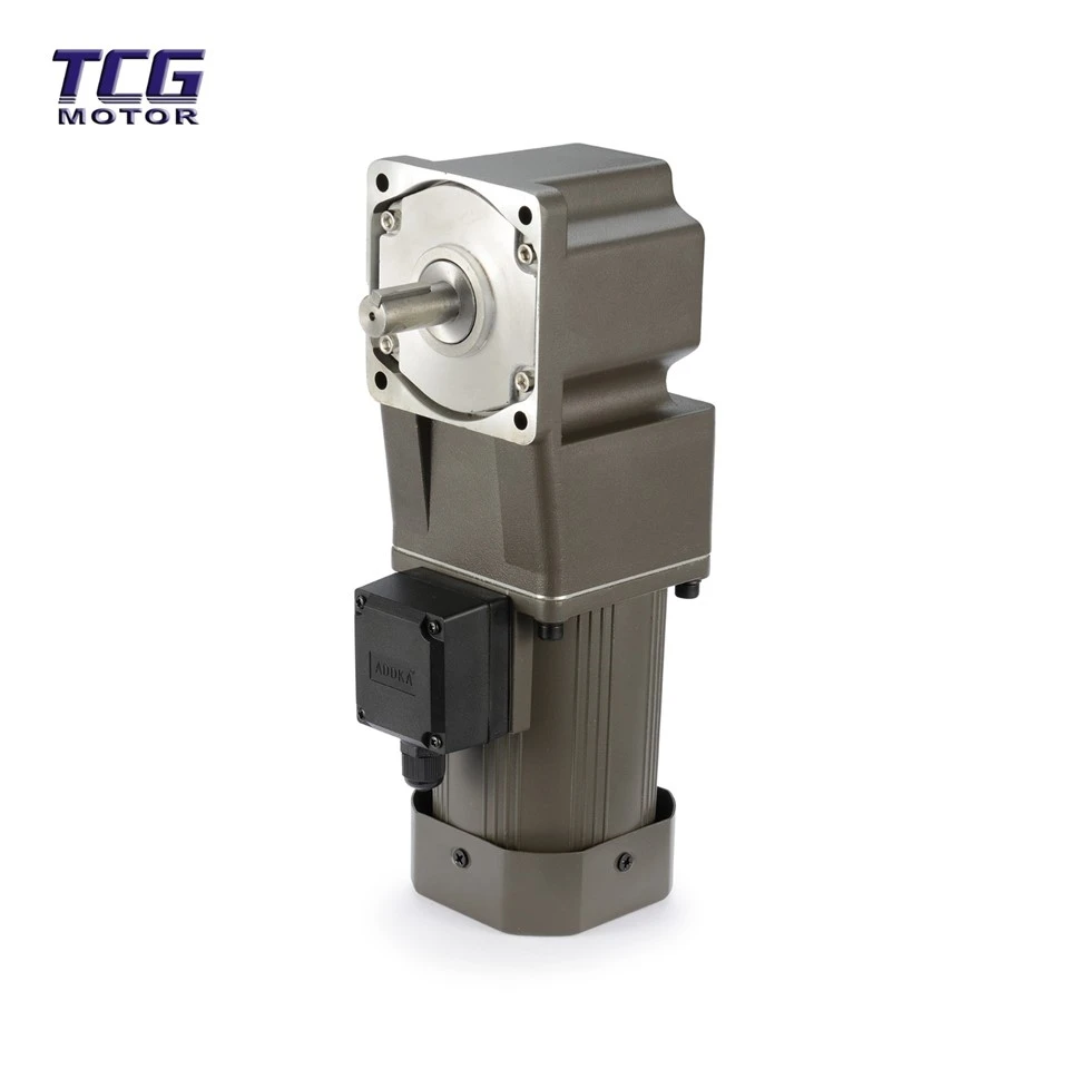 Variable Speed Ac Gear Motor suppliers